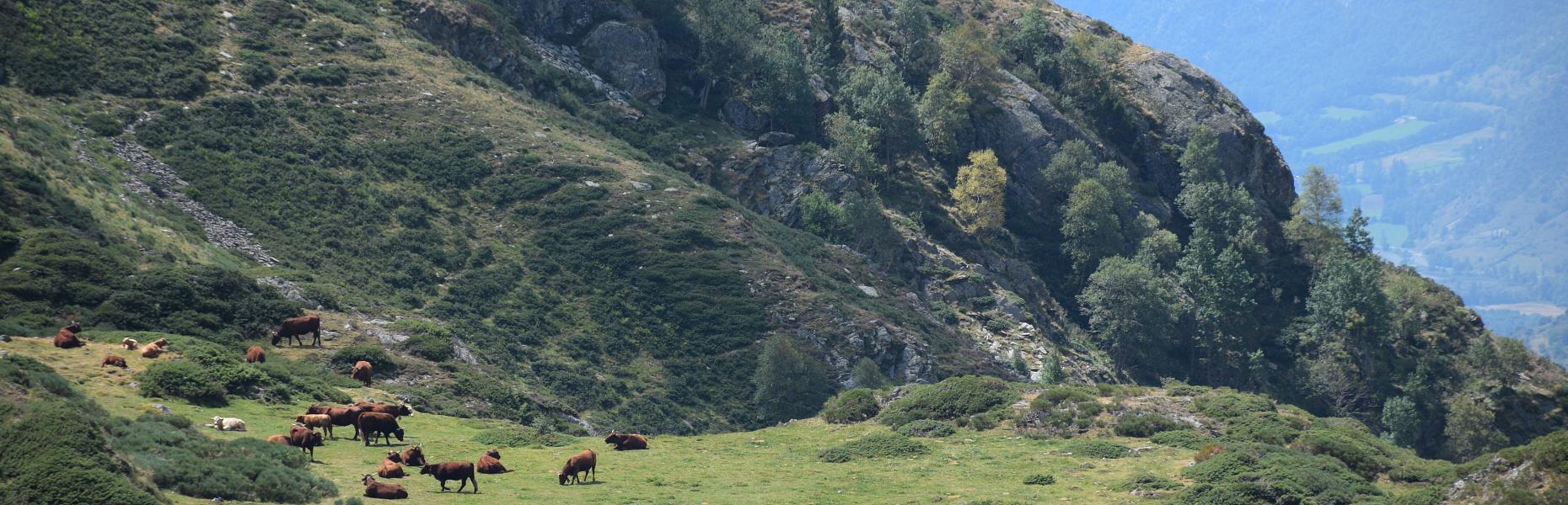 Vive un verano de ensueño en el corazón del Pirineo