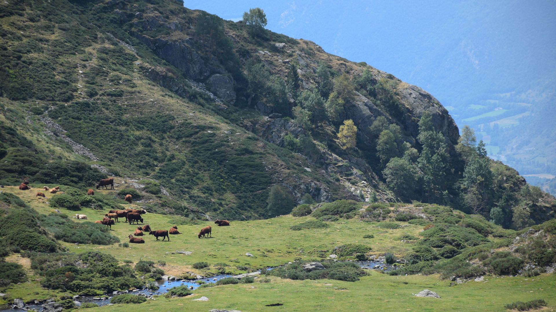 Vivez un été de rêve au coeur des Pyrénées