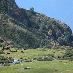 Vive un verano de ensueño en el corazón del Pirineo