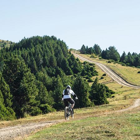 VTT : aventure sur roues