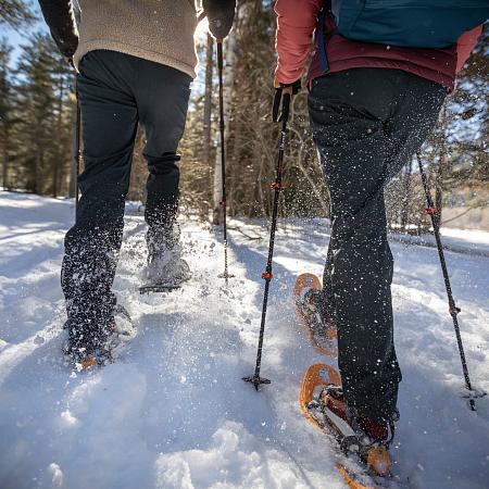 Excursions amb raquetes de neu